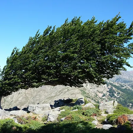 Bed and Breakfast L'attrachju 3*