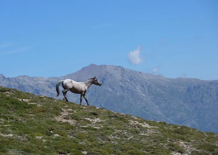 Bed & Breakfast L'attrachju 3*