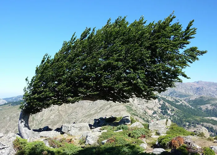 Bed & Breakfast L'attrachju 3*